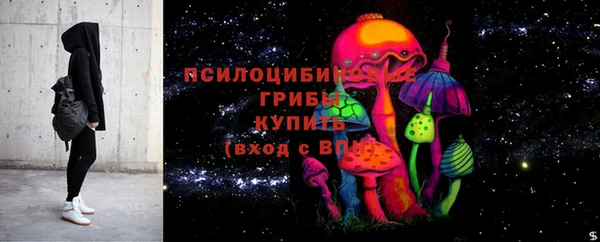прущие грибы Бронницы