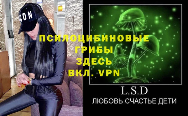 прущие грибы Бронницы