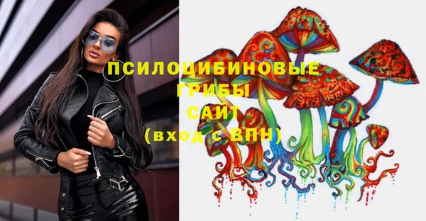 ПСИЛОЦИБИНОВЫЕ ГРИБЫ Богородск