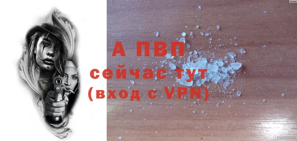 соль ск Богородицк